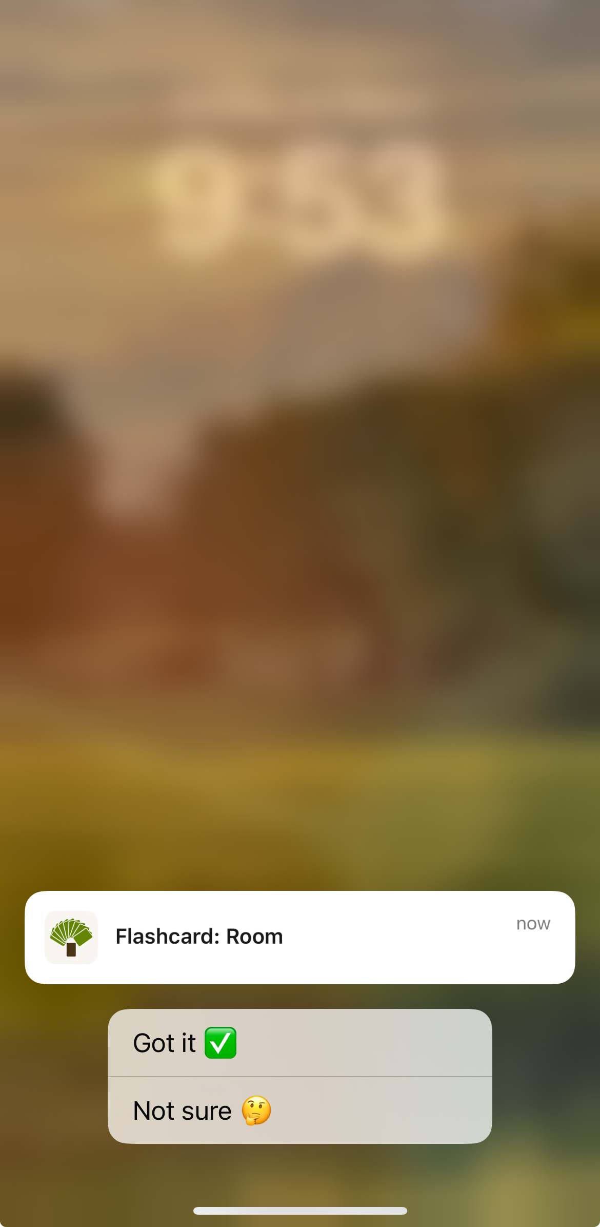 Flashcard interaction screenshot